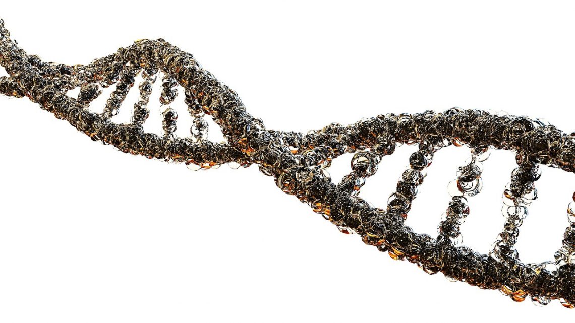 Le test ADN pour déterminer vos origines