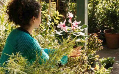 décorer son jardin
