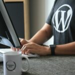 articles wordpress ia