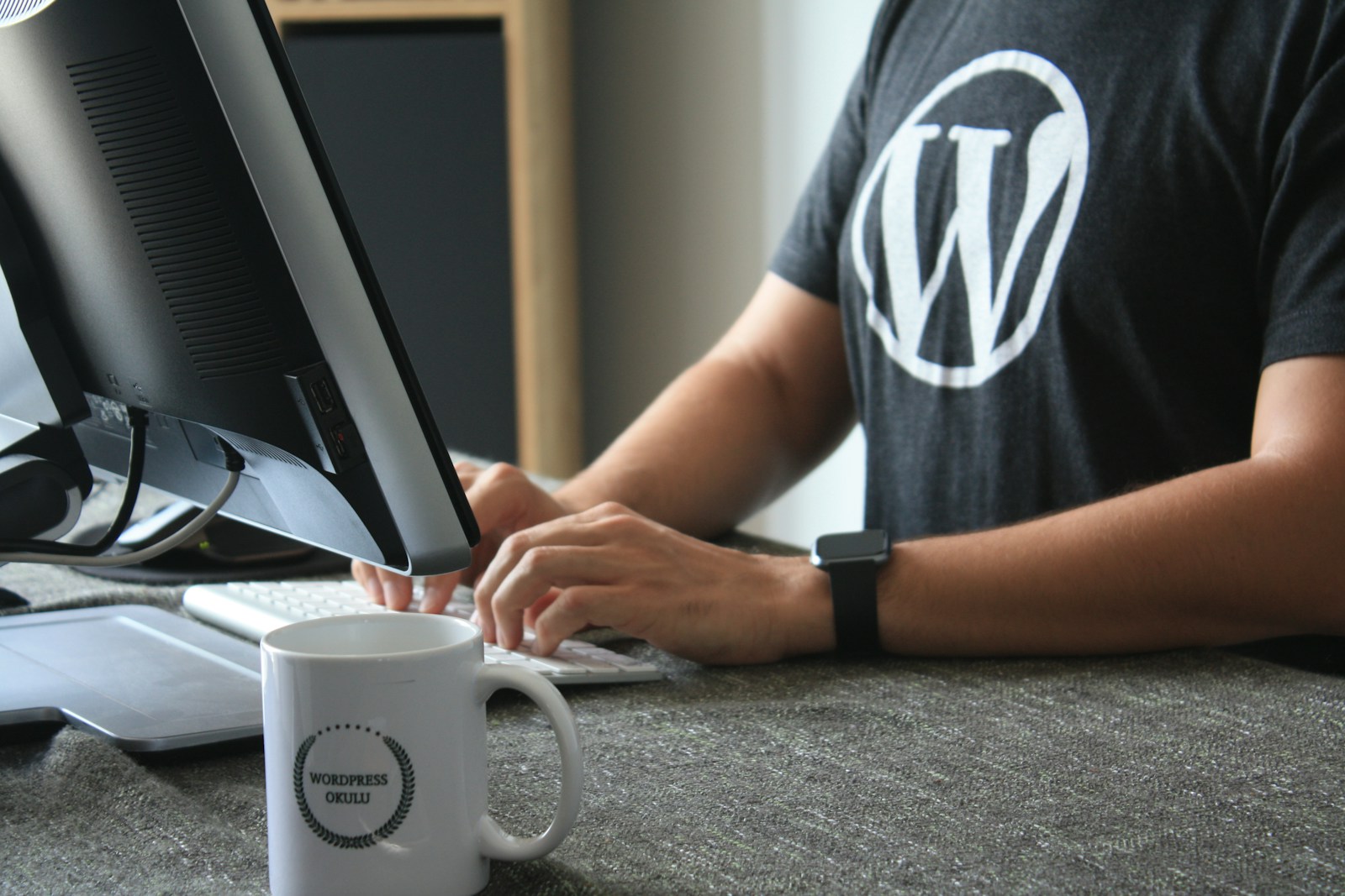 articles wordpress ia